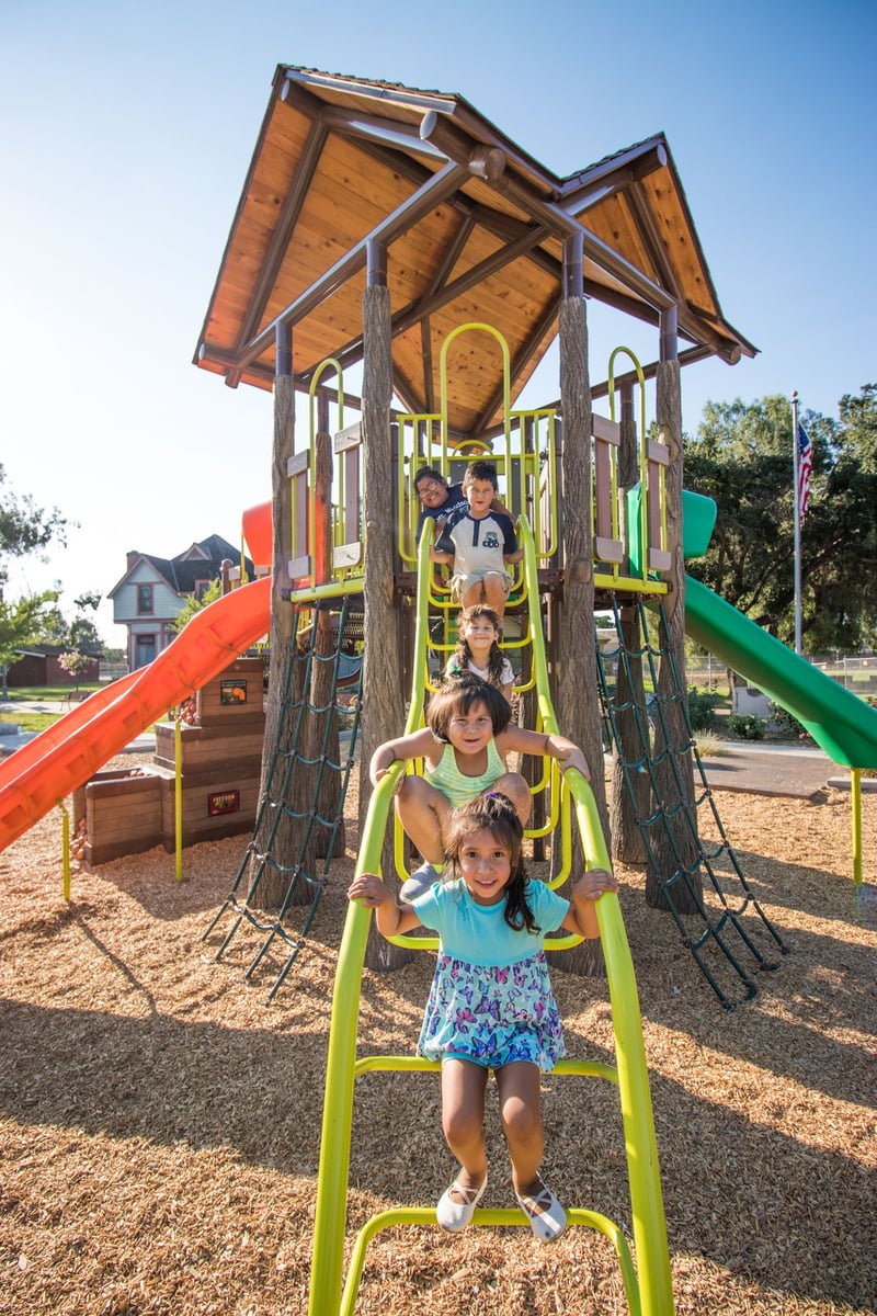 Grape Day Park preview 19